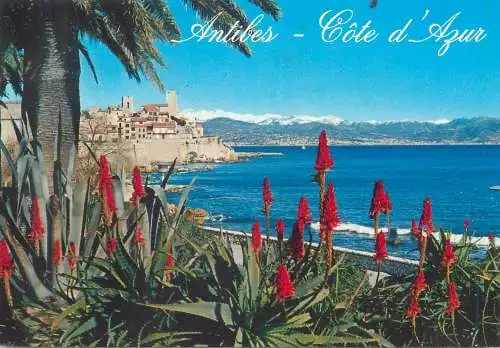 Postcard France Cote d'Azur Antibes