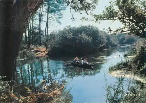 Postcard France paysage de Landes river scenery rowing boat trip