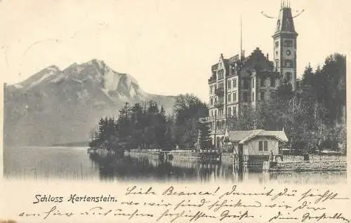 Switzerland Schloss Hertenstein 1903 postcard