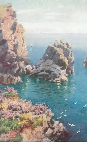 Cornish Cliffs Raphael Tuck Oilette postcardafter the original painting by H.B. Wimbush