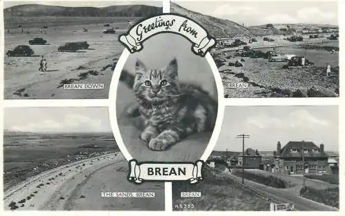 Greetings from Brean cat & multi views postcad 1955