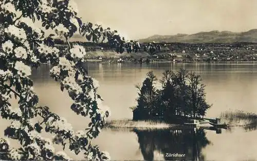 Switzerland postcard Am Zurichsee