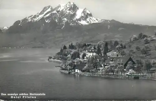 Switzerland postcard Das sonnige schone Hertenstein Hotel Pilatus