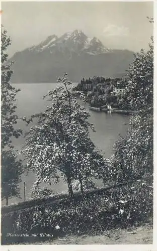 Switzerland postcard Hertenstein mit Pilatus