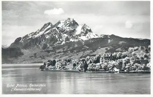 Switzerland postcard Hotel Pilatus Hertenstein vierwaldstattersee