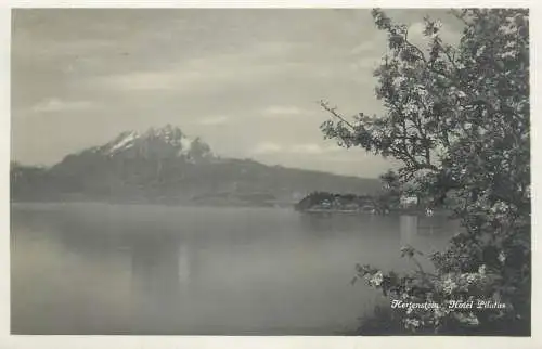 Switzerland postcard Hertenstein Hotel Pilatus 1932