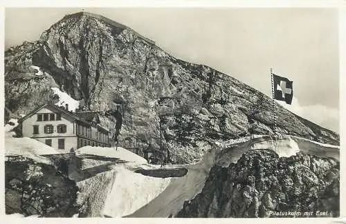 Switzerland postcard Pilatuskulm mit Esel flag