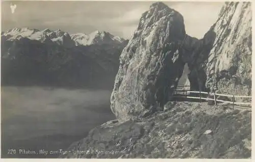Switzerland postcard Pilatus Weg zum Tommlishorn mit Berneralpen