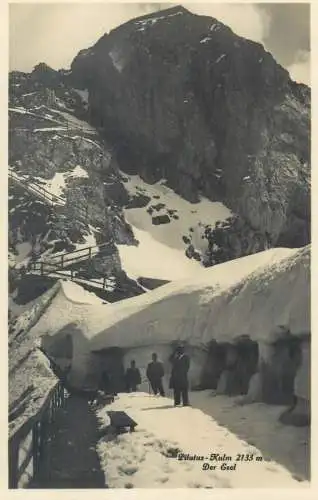 Switzerland postcard Pilatus kulm der Esel