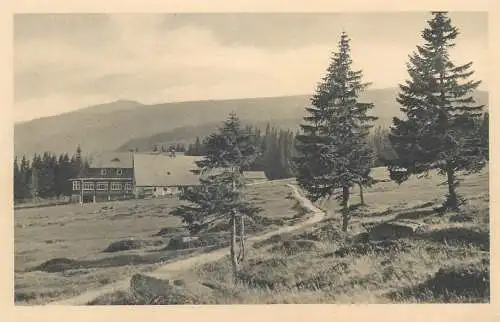 Schwarze Schneegrube