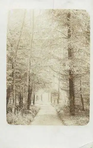 Switzerland 1906 Zurich photo postcard