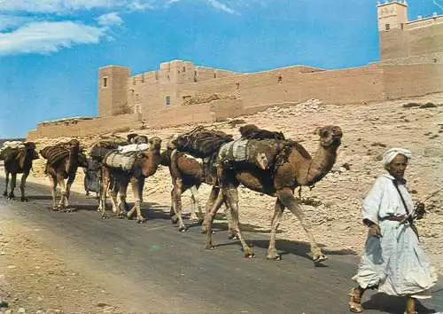 Goulimine camel caravane Morocco