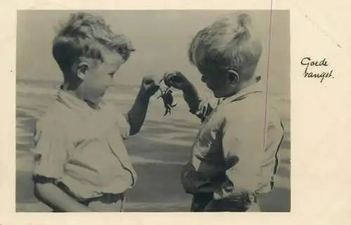 Postcard Netherlands children portraits young boys at the seaside playing with a crab