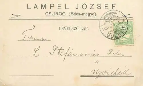 Hungary Entier Postal Stationery correspondance Csurog to Ujvidek 1913 Lampel Jozsef Csurog ( Bacs-megye )