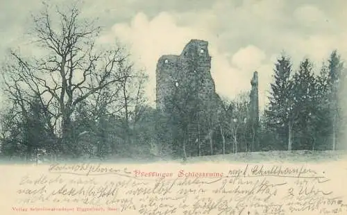 Switzerland Suisse 1900 Pfeffinger Schlossruine timbre suisse UPU franking stamp