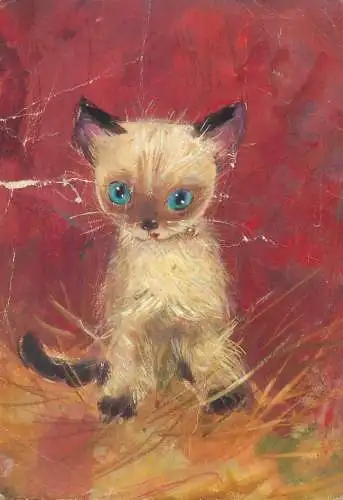 Animals cat postcard kitten painting Anton Kolnberger Siamkatzchen siameze 1970
