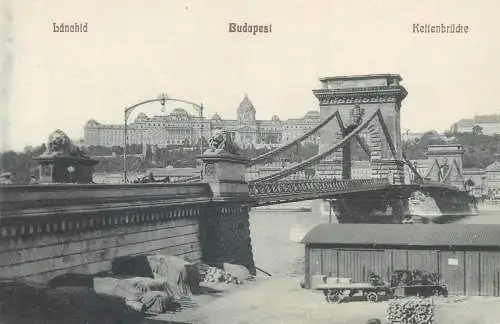 Europe Hungary Budapest Lanchid chain bridge carriage postcard