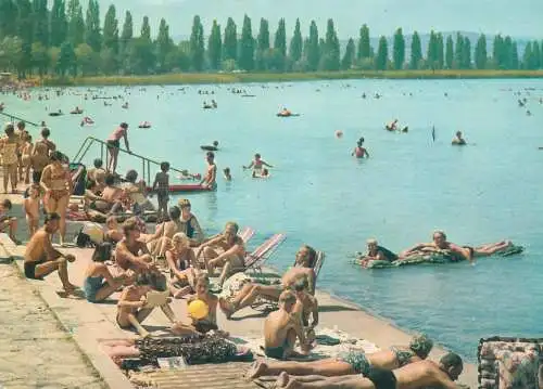 Europe Hungary Greetings from Lake Balaton 1968 postcard