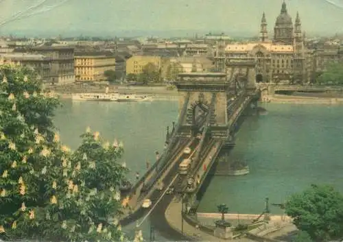 Europe Hungary Budapest Chain bridge and Hotel Danube postcard