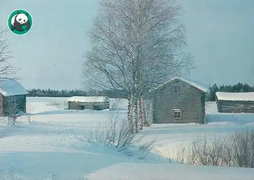 Europe Finland thypical winter landscape cottages postcard