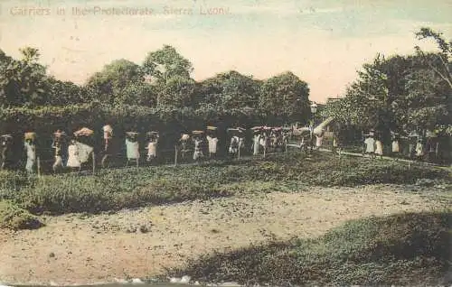 Carriers in the Protectorate Sierra Leone 1909
