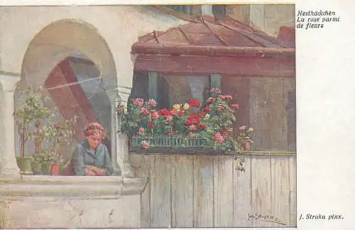 Illustrators postcard Straka Nesthackchen la rose parmi de fleurs