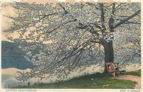Illustrators postcard Unterm Blutenbaum J.Gaberell 1925