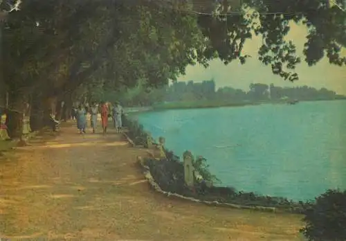 Europe Hungary Balatonfured part of the shore postcard