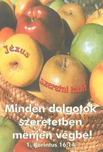 Europe Hungary religion card Jezus szeretni tanit golden apples 2002 postcard