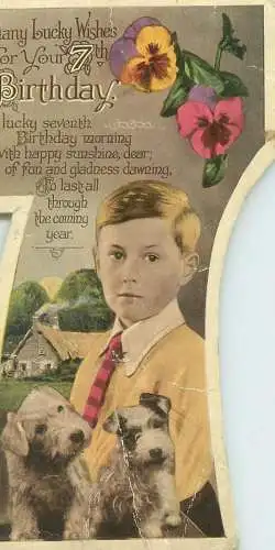 Birthday Wishes greetings enfants Postcard young gentleman boy pansies and fox terriers