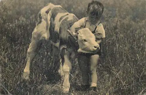 Greetings boy with cow in field 1901 costume happy days smile innocence beauty joy postcard