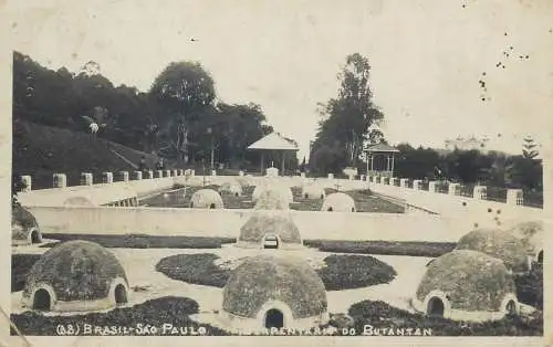 Sao Paulo Brazil serpentario do Butantan