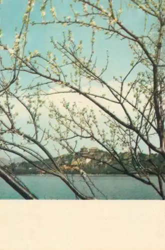 Asia China Peking Spring in Summer palace postcard