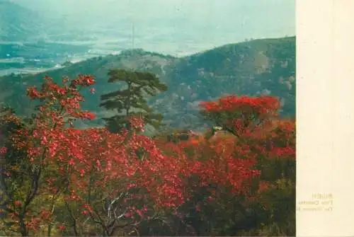 Asia China Peking The western Hills in autumn postcard