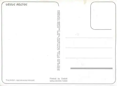 A0156 Brown bear postcard