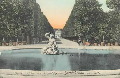 Postcard Austria Wien Menagerie Allee Schlossgarten Schonbrunn