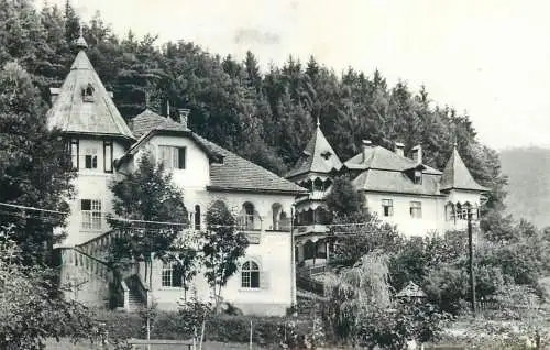 Postcard Romania Sangeorz-Bai vile