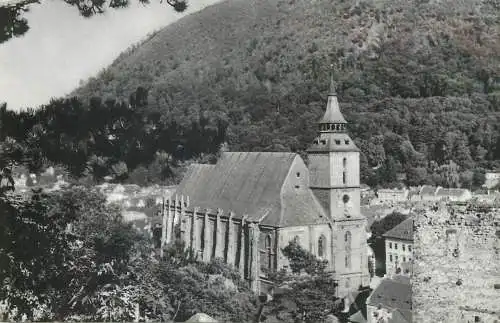 Postcard Romania Brasov Biserica Neagra lynx stamp