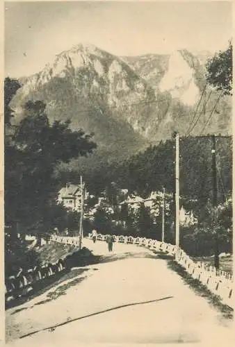 Postcard Romania Poiana Tapului
