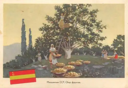 A5650 Moldova fruit picking
