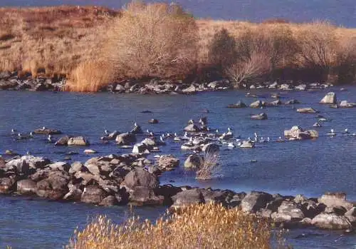 A5571 Georgia Javakheti