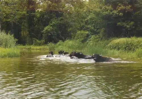 A5571 Georgia Paliastomi lake