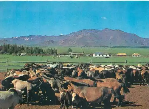 A5555 Mongolia Tsetserlig Somon Hubsugul Aimak