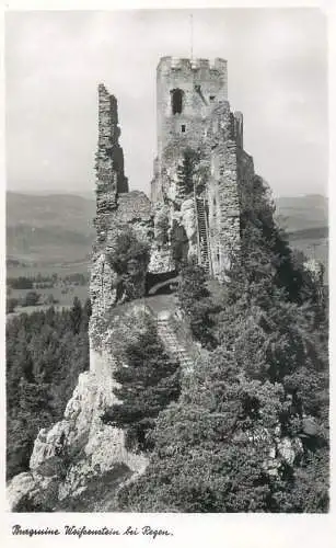 A5225 Germany Bayr Wald Burgruine Weissenstein bei Regen