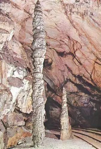 A5214 Slovenia Postojnska Cave - the Cypress