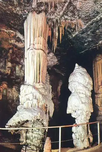 A5214 Slovenia Postojnska Cave - the Brilliant