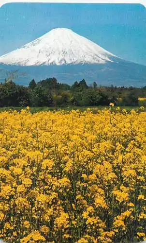 (L) Japan Mount Fuji alpine song card 7 x 10 cm