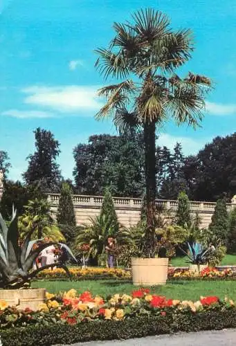 A5193 Germany Potsdam Sanssouci Sicilian Garden