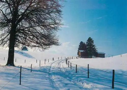 A5053 Allemagne Bavaria winter scenery