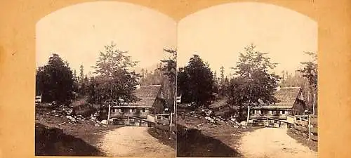 Photography Stereoscopes Side-by-side views Gosauschmiede L. Hardtmuth Ischl